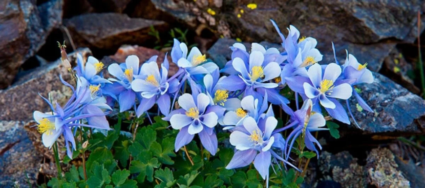 8 Mart Dünya Emekçi Kadınlar Günü mesajları…