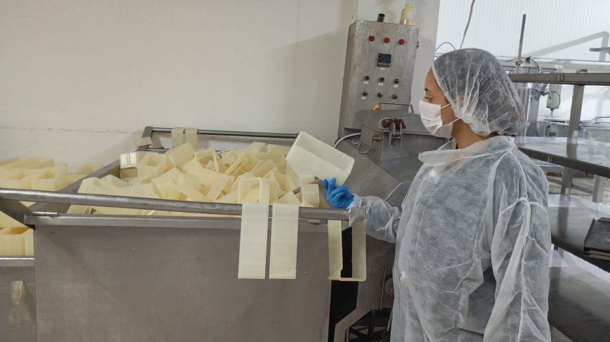 Değirmenlik Akıncılar Belediyesi bir süt fabrikasını mühürlendi